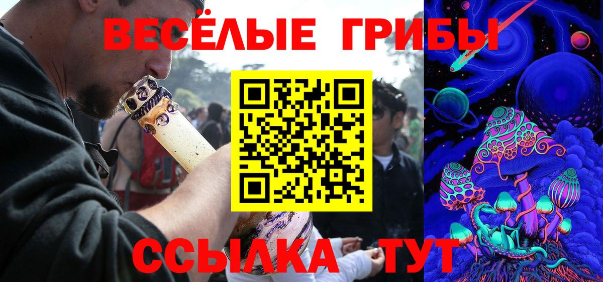 цена наркотик  Псилоцибиновые грибы мицелий  Галлюциногенные грибы мухоморы  Вход с VPN  Кольчугино 